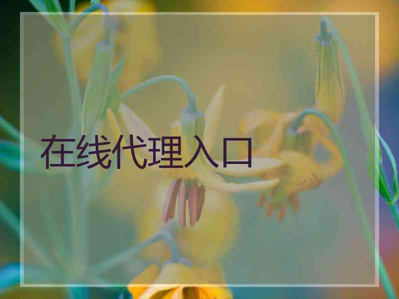 在线代理入口