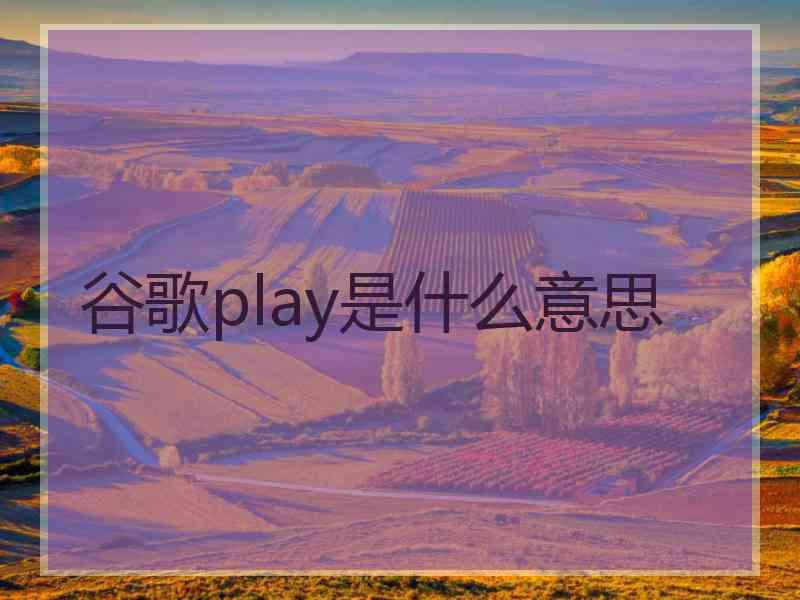 谷歌play是什么意思