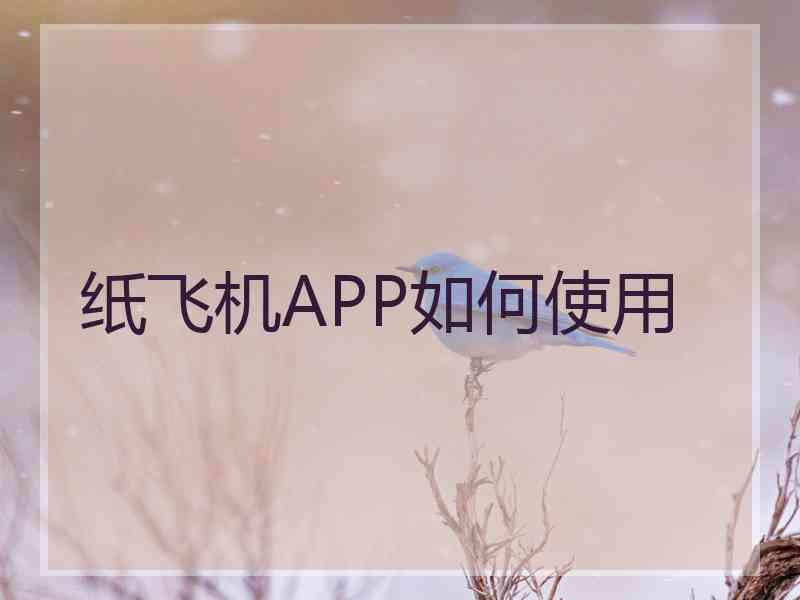 纸飞机APP如何使用