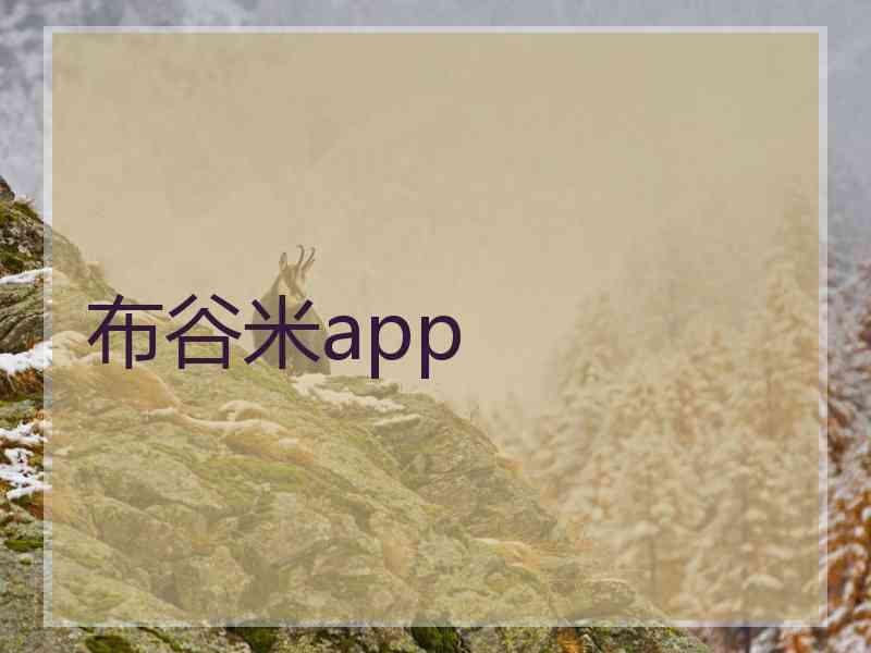 布谷米app