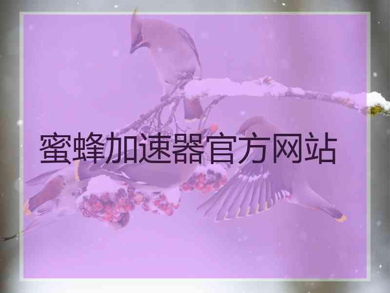 蜜蜂加速器官方网站