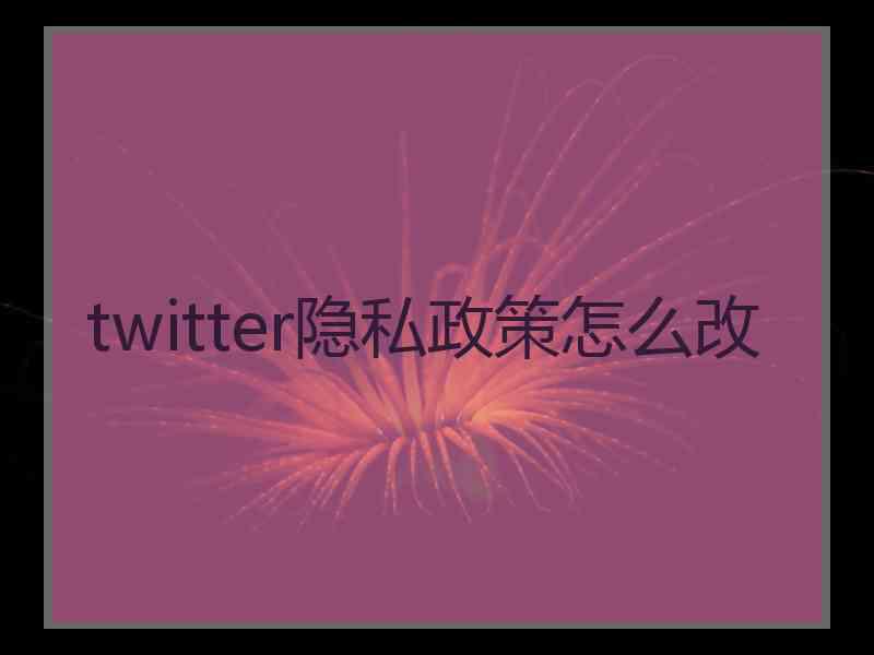 twitter隐私政策怎么改