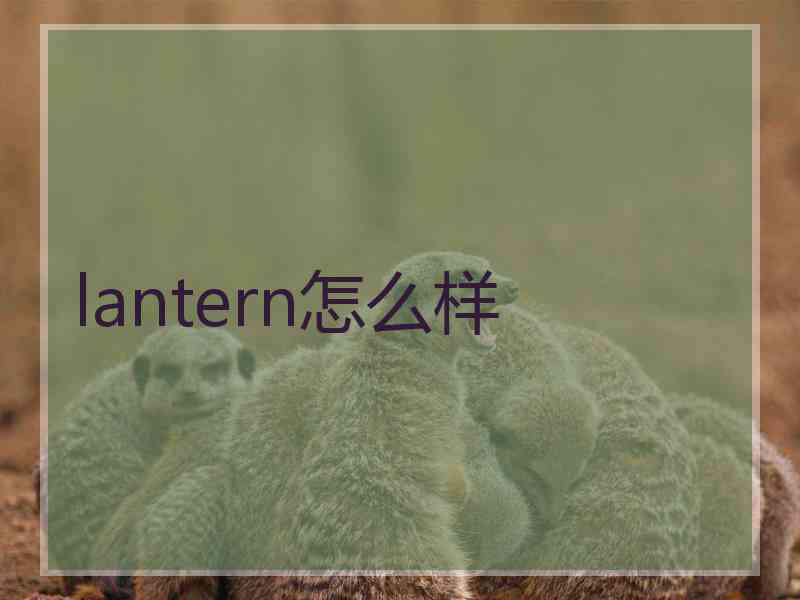 lantern怎么样