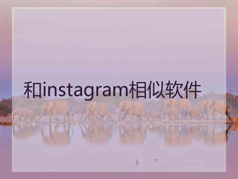 和instagram相似软件