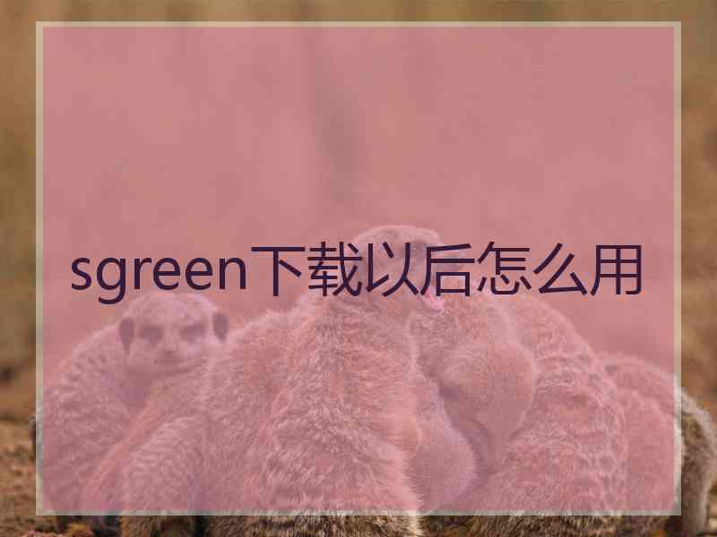 sgreen下载以后怎么用