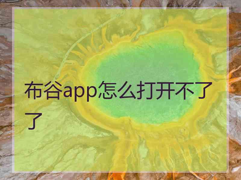 布谷app怎么打开不了了