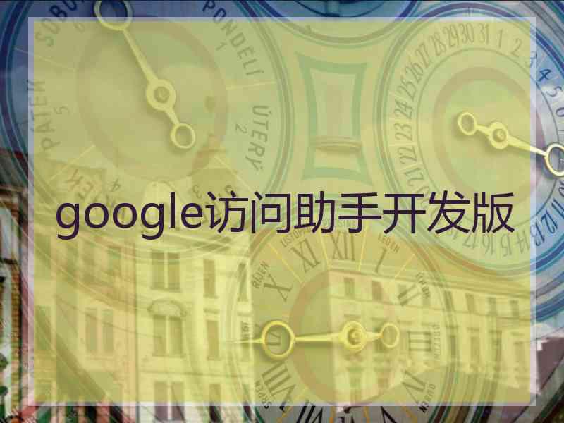 google访问助手开发版