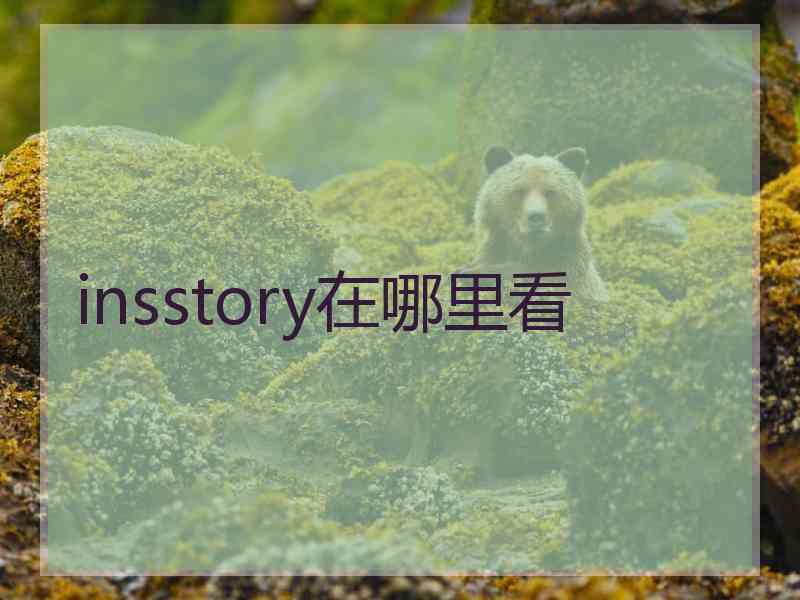 insstory在哪里看