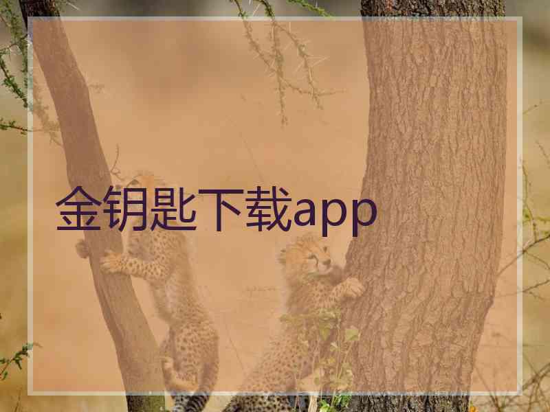 金钥匙下载app