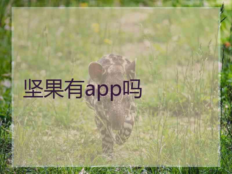 坚果有app吗