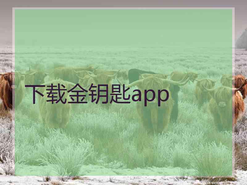 下载金钥匙app