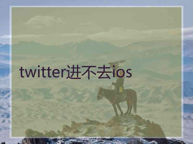 twitter进不去ios