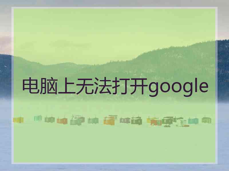 电脑上无法打开google