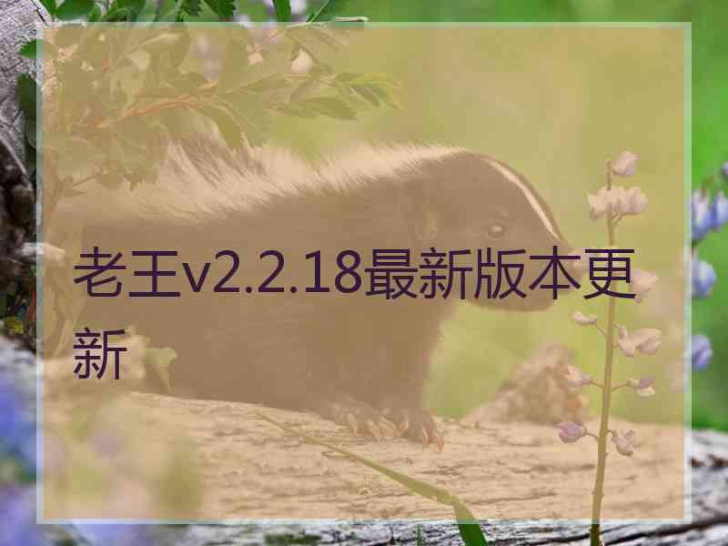 老王v2.2.18最新版本更新