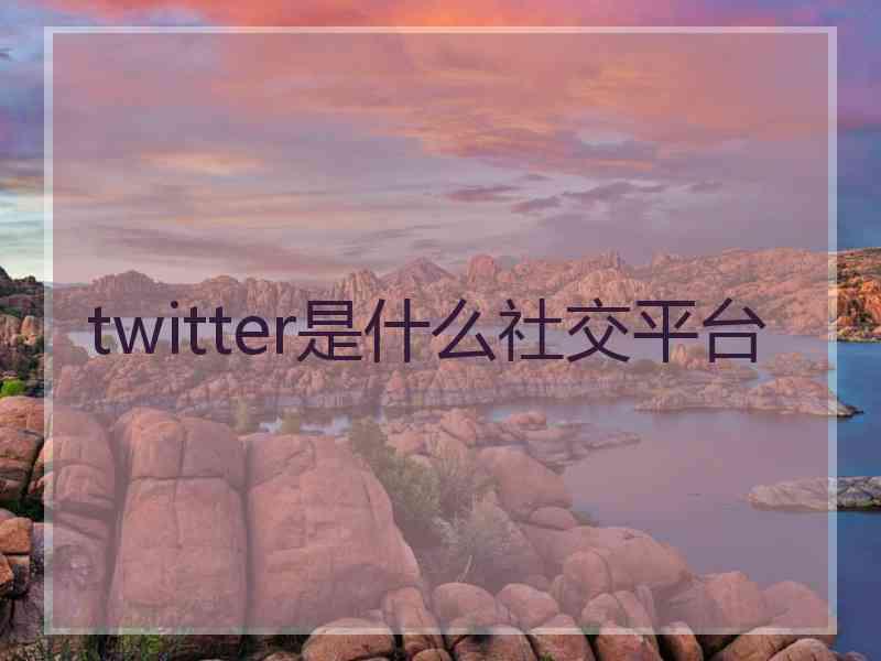 twitter是什么社交平台