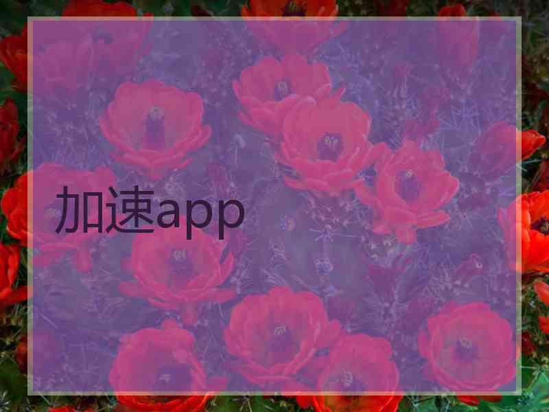 加速app