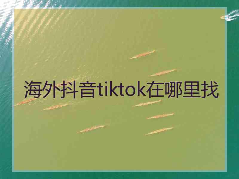 海外抖音tiktok在哪里找