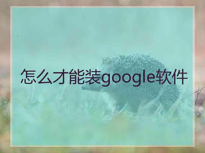 怎么才能装google软件