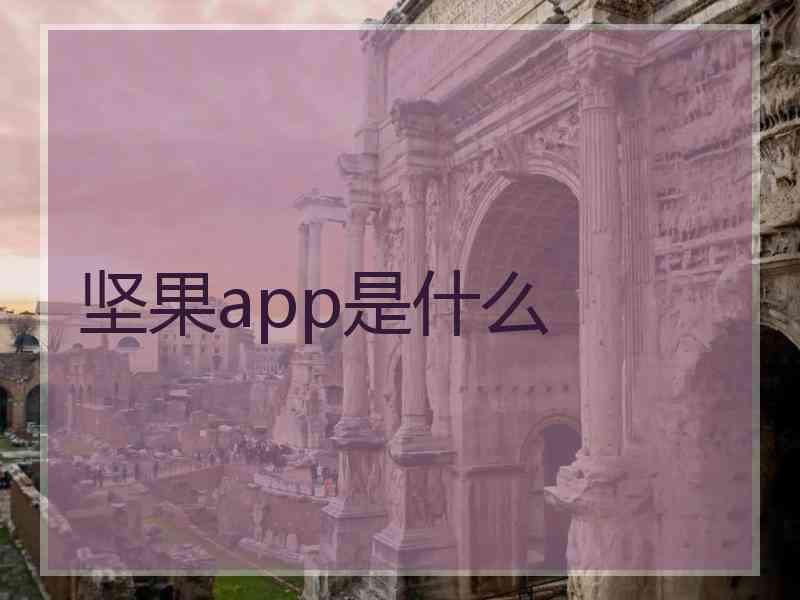 坚果app是什么