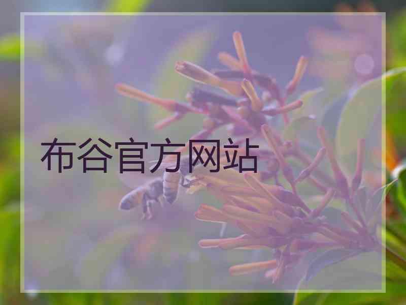 布谷官方网站