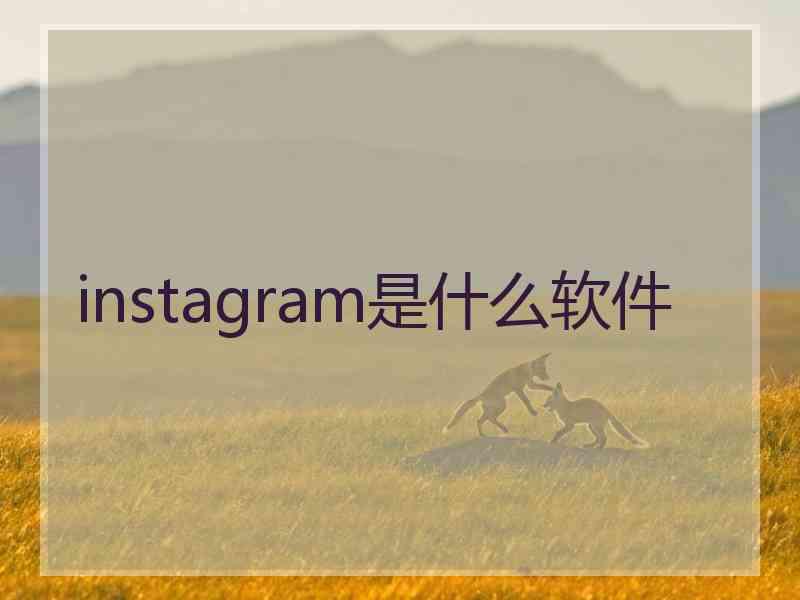 instagram是什么软件