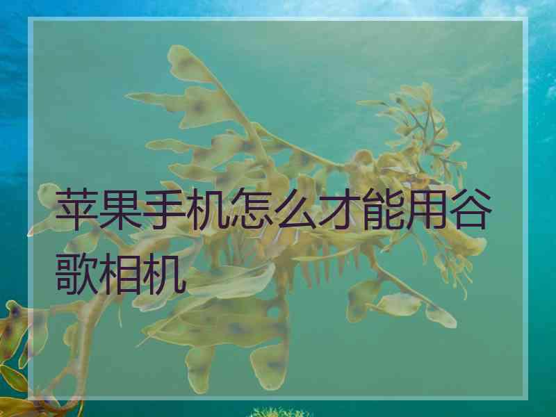 苹果手机怎么才能用谷歌相机