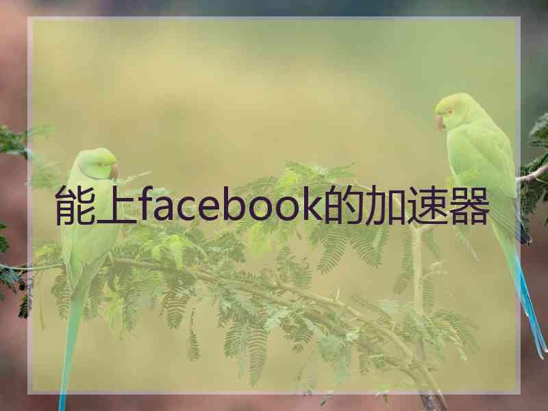 能上facebook的加速器