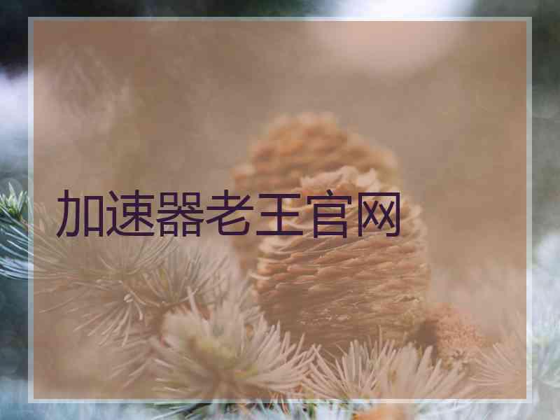 加速器老王官网