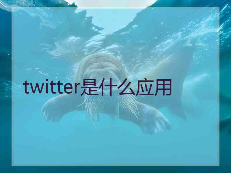 twitter是什么应用