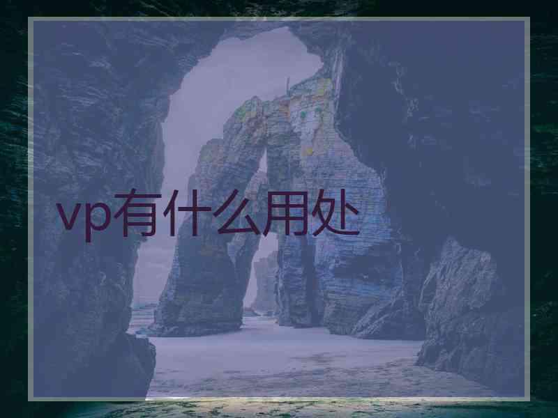 vp有什么用处