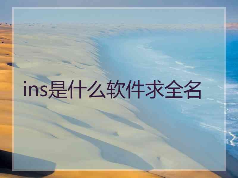 ins是什么软件求全名