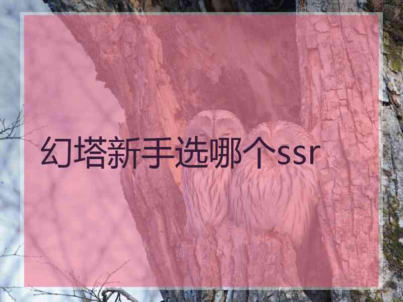 幻塔新手选哪个ssr