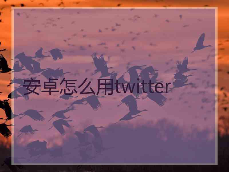 安卓怎么用twitter